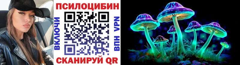 Купить закладки  Верхняя Пышма  Псилоцибиновые грибы Cubensis 